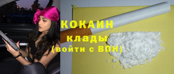 крисы Каменногорск