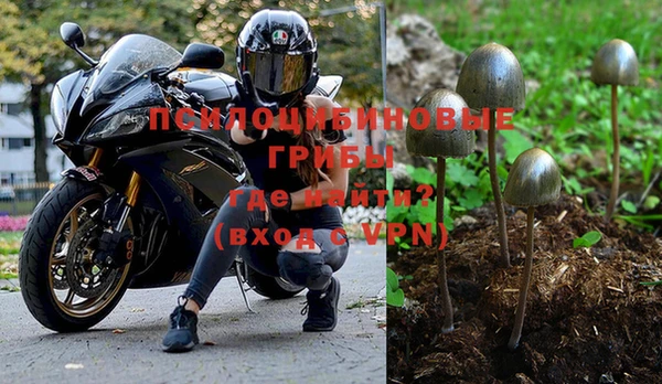 крисы Каменногорск