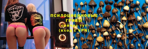 не бодяженный Каменка