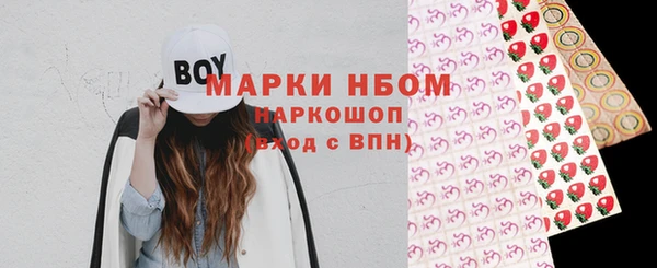 крисы Каменногорск