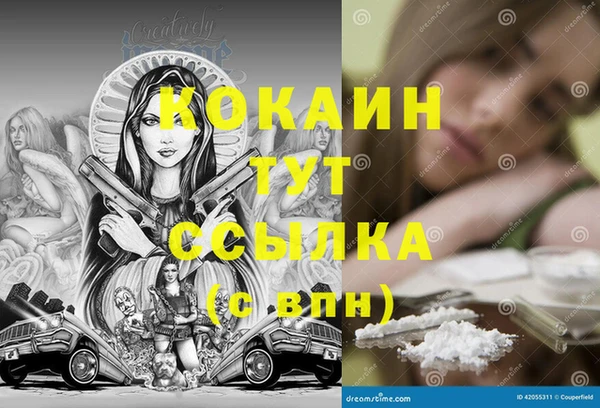 крисы Каменногорск