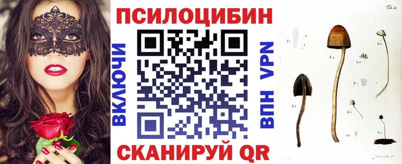 Купить где  Дедовск  Галлюциногенные грибы Psilocybe 